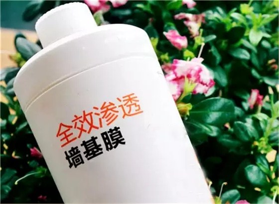 〖家裝資訊臺〗潮濕天氣，房子剪開壁紙全是蘑菇