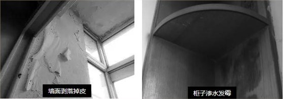 母親節(jié)特輯 ¦ 10天為母親煥愛心居室_福建乳膠漆品牌廠家