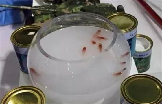 修煉內(nèi)功，讓行業(yè)水性漆回歸健康軌道_深圳水性木器漆品牌廠家