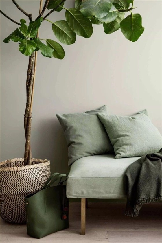 “灰綠色”遠(yuǎn)離壓力，輕松打造輕奢感