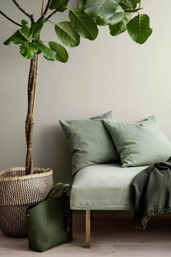 “灰綠色”遠(yuǎn)離壓力，輕松打造輕奢感