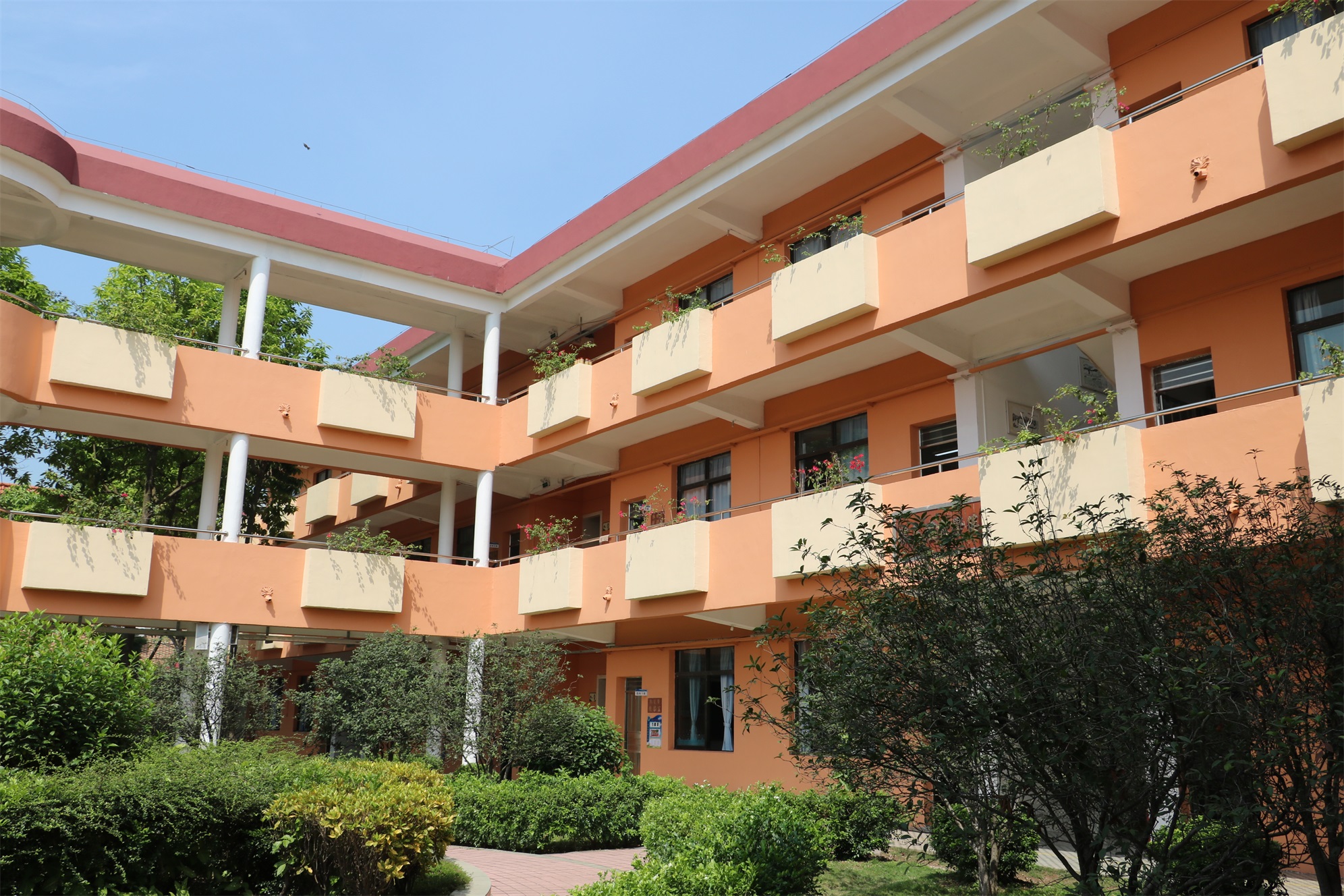 公司動態(tài)|數(shù)碼彩涂料榮獲“尊師重教先進單位”稱號